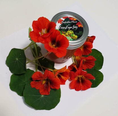 Green Grape and Nasturtium Flower Jelly 8 oz. - Image 3